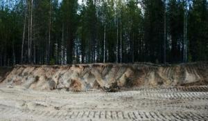 Молодые учёные из Коми создали новые методики оценки гуманного лесопользования