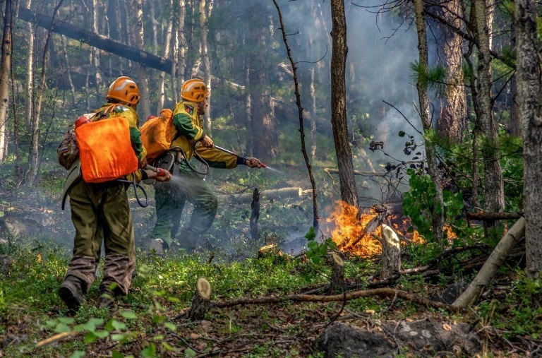 Стань добровольным лесным пожарным 