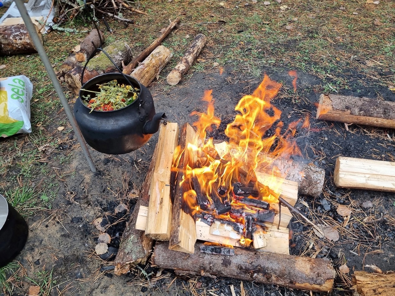 Испытания ГТО:  Туристический поход с проверкой туристических навыков