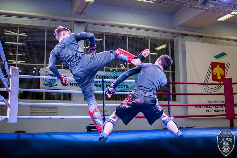 Игры боевых искусств в Республике Коми объявили открытыми