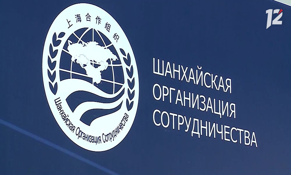 Объявлен отбор получателей субсидии на Портале предоставления мер финансовой государственной поддержки